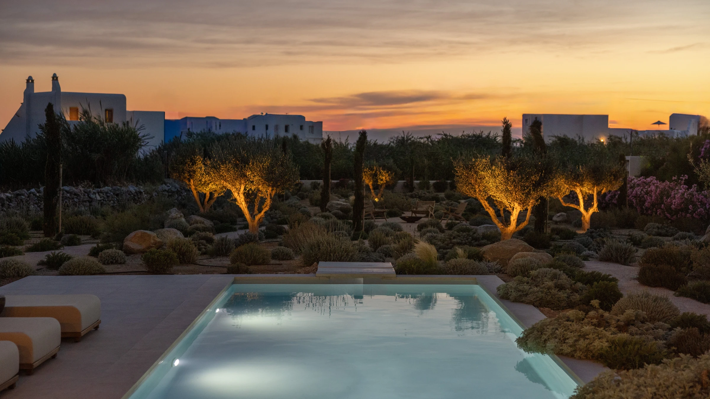 The pool and uplit olive trees against the sunset