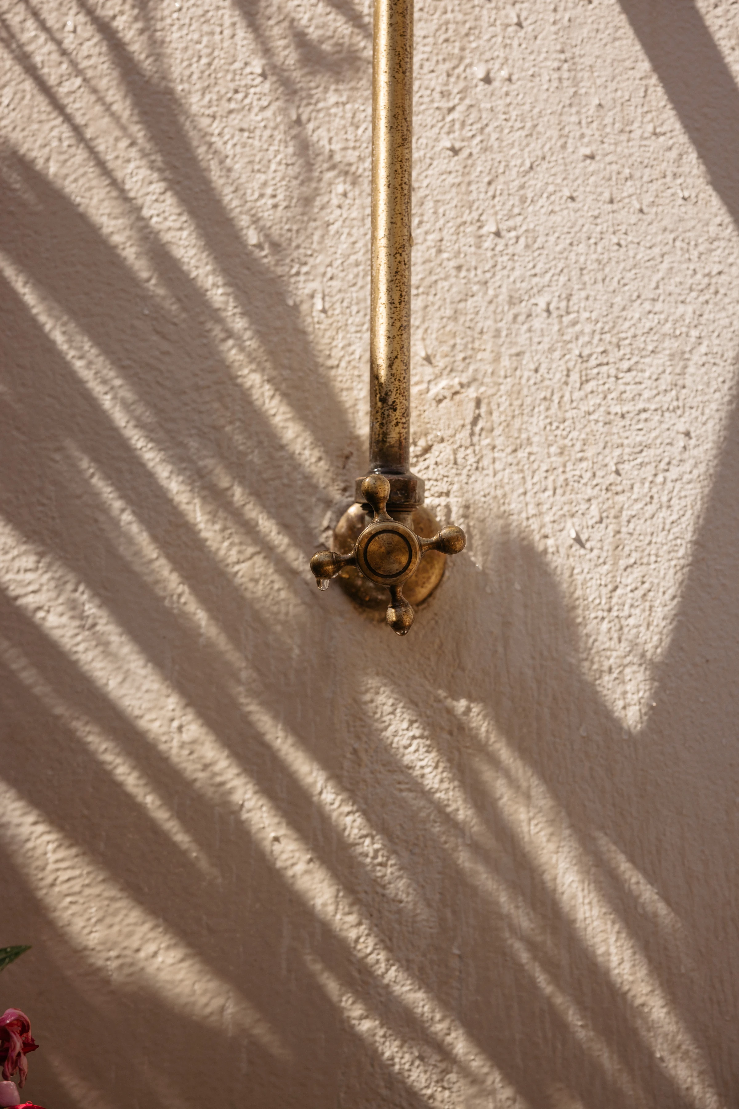 A brass tap and palm-frond shadows on the wall