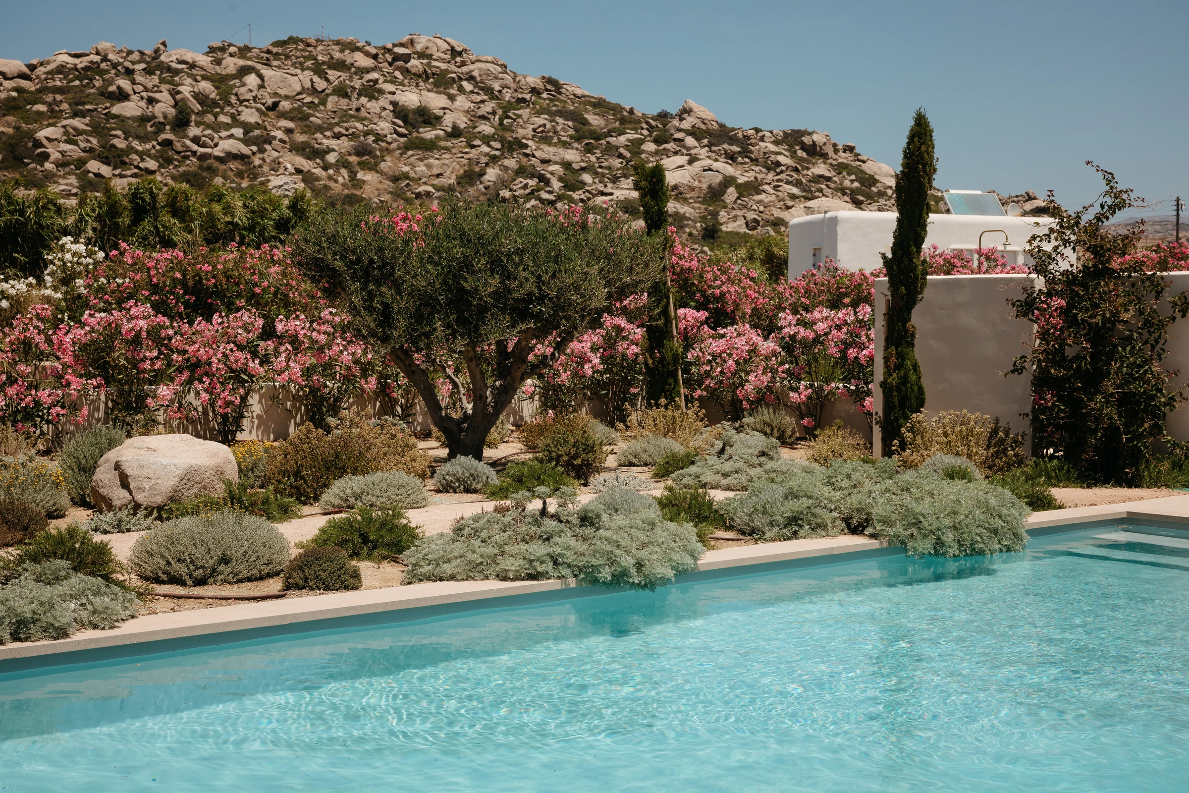 The pool against oleander and the rocky hillside